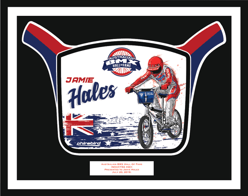 Jamie Hales induction plate