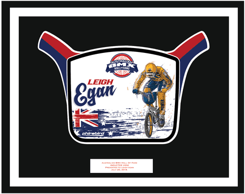 Leigh Egan induction plate
