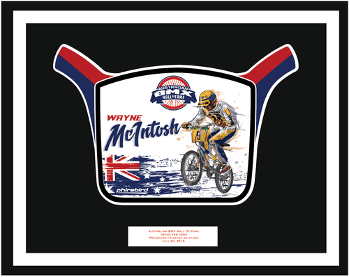Wayne McIntosh induction plate