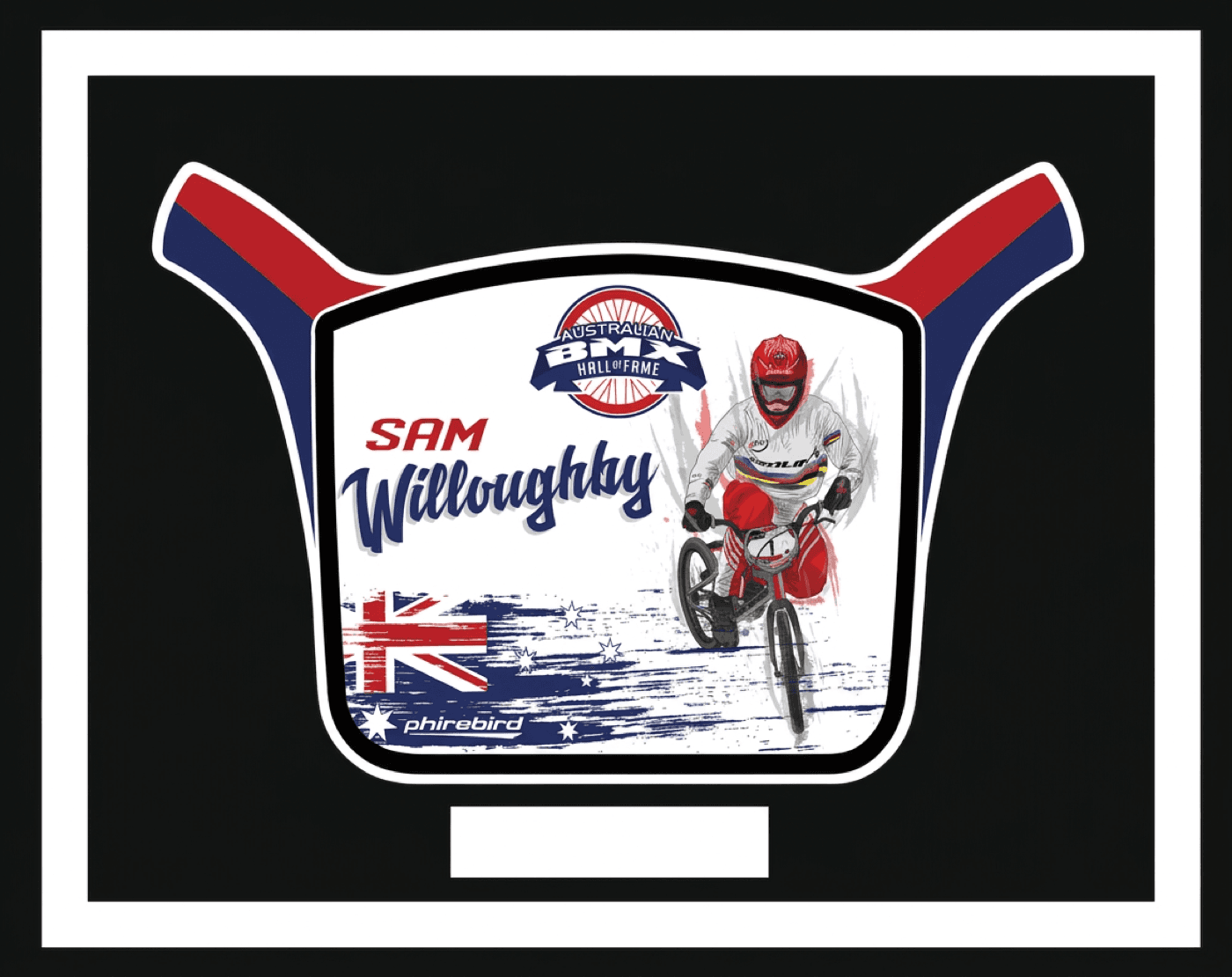 Sam Willoughby induction plate