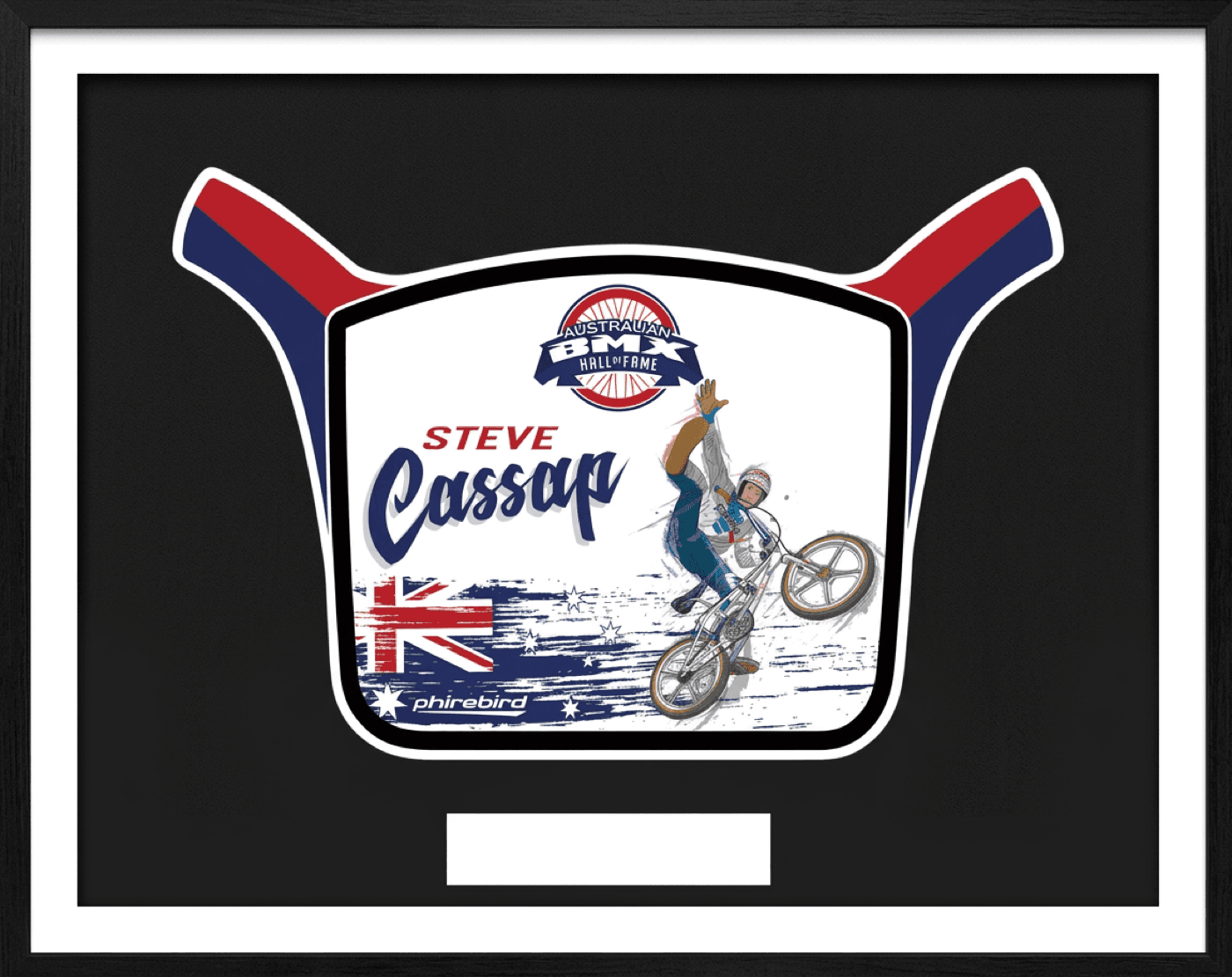 Steve Cassap induction plate