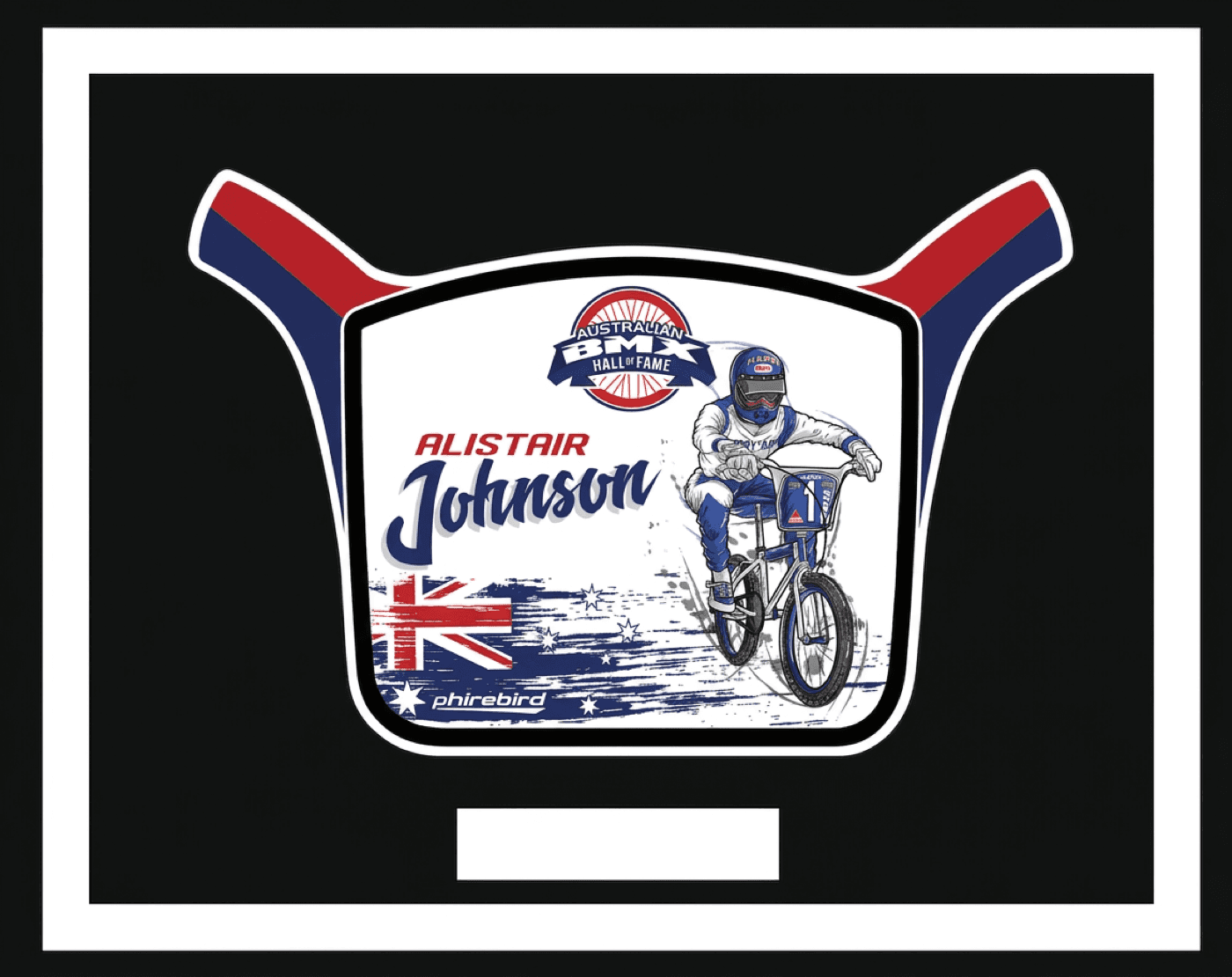 Alistair Johnson induction plate