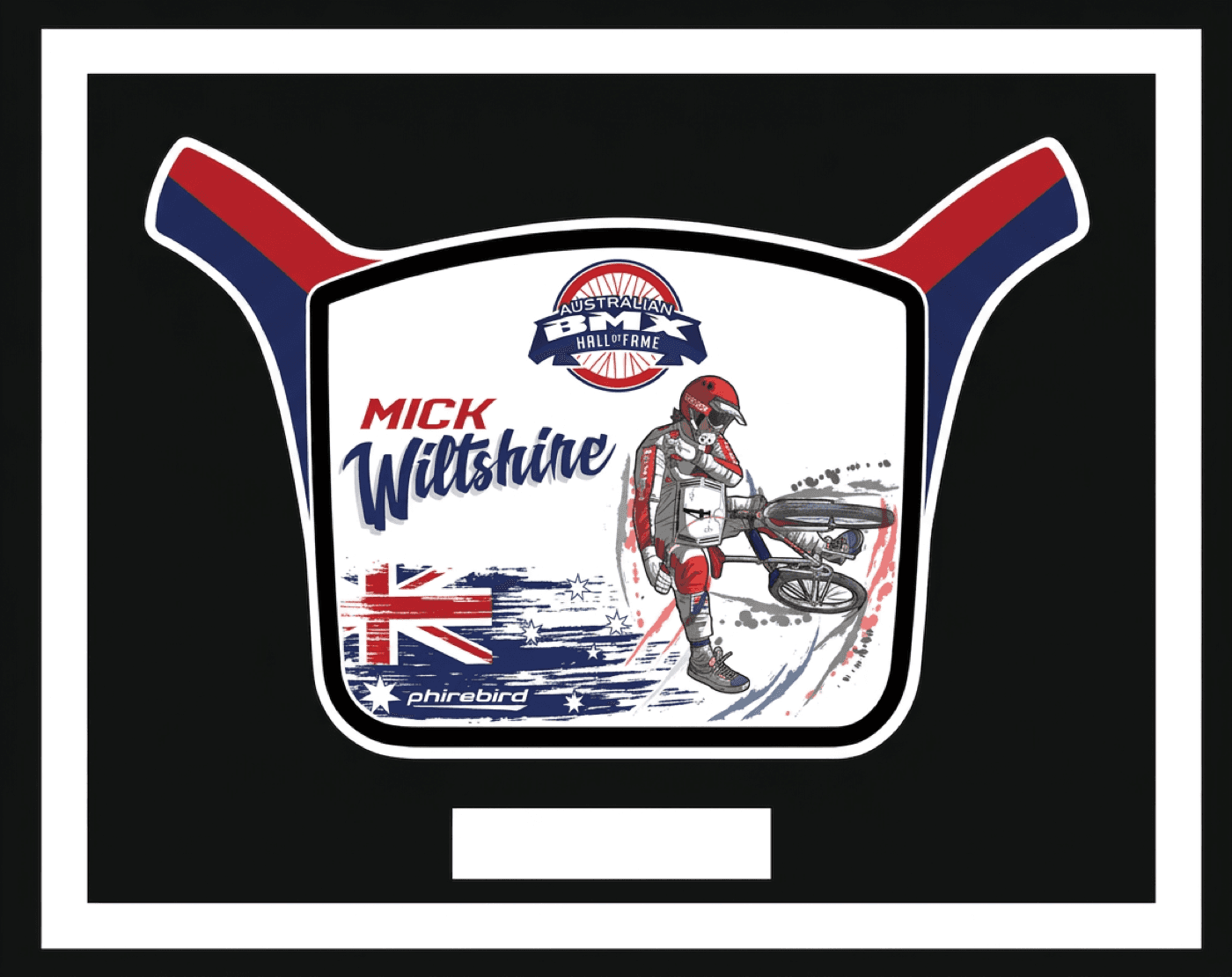 Mick Wiltshire induction plate