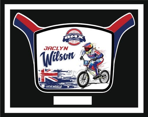 Jaclyn Wilson induction plate