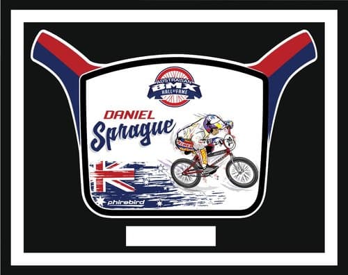 Daniel Sprague induction plate