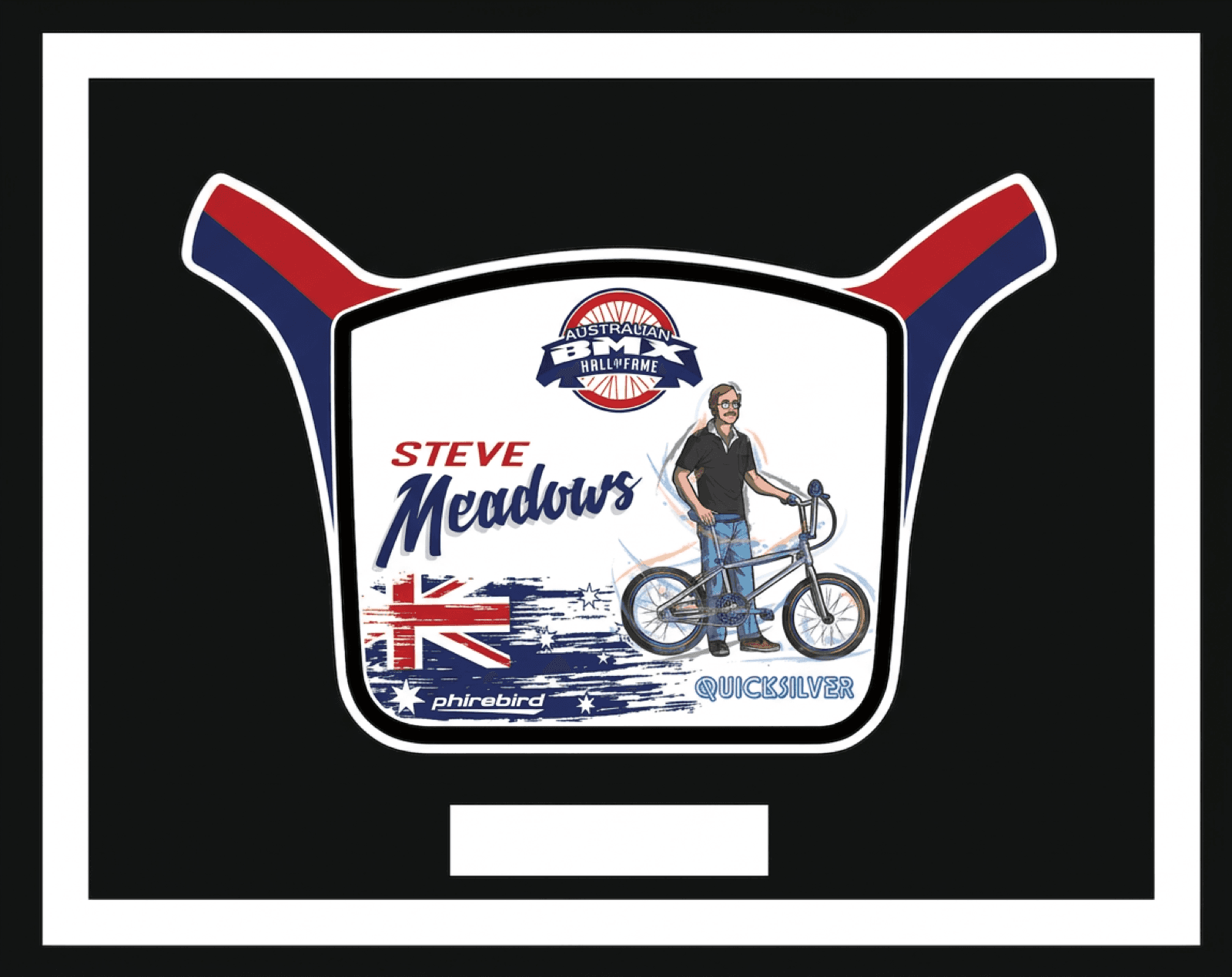 Steve Meadows induction plate