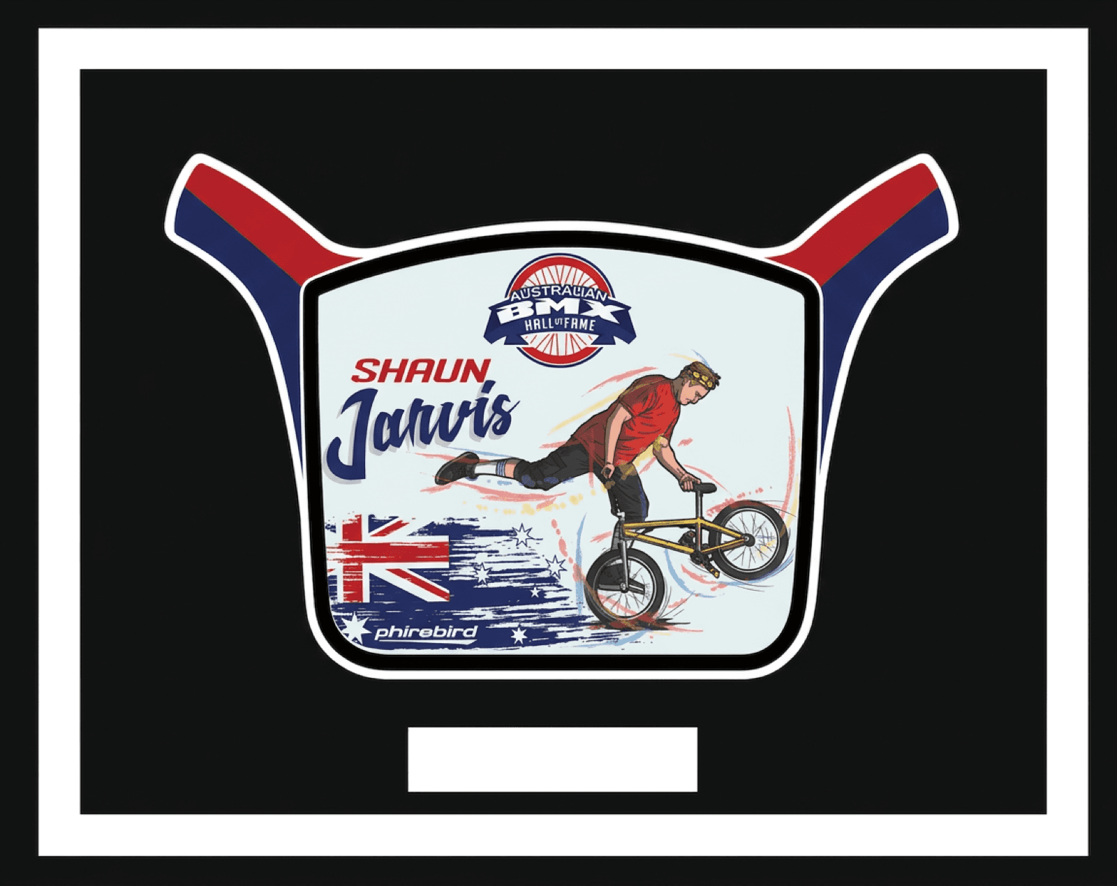 Shaun Jarvis induction plate