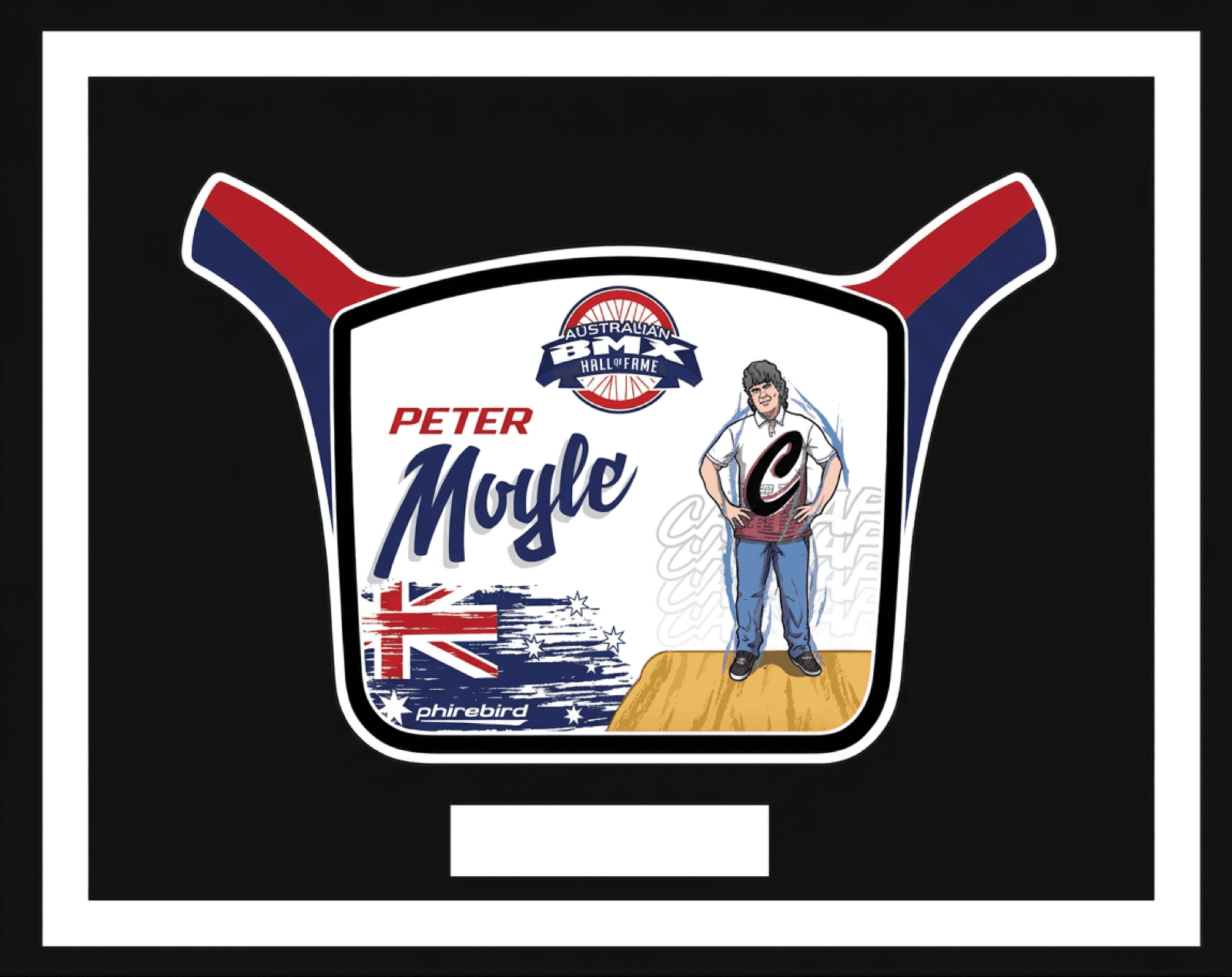 Peter Moyle induction plate